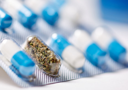 CBD ΚΑΙ ΑΛΛΗΛΕΠΙΔΡΑΣΕΙΣ ΦΑΡΜΑΚΩΝ: ΤΙ ΠΡΕΠΕΙ ΝΑ ΓΝΩΡΙΖΕΤΕ