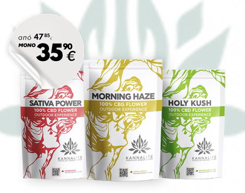 Seedless Buds SATIVA POWER - MORNING HAZE - HOLY KUSH