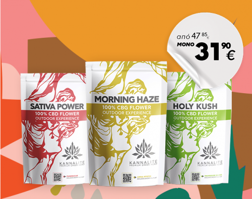 Seedless Buds SATIVA POWER - MORNING HAZE - HOLY KUSH | 2+1 Free