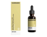BRAIN - Βάμμα Ερίκιου Μανιταριού με CBG 500mg (20ml)